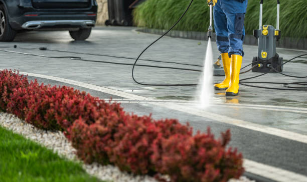 Best Patio and Deck Pressure Washing  in West Elmira, NY